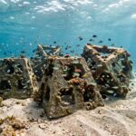 Reefline Miami Blends Art and Conservation Along the Miami Coastline
