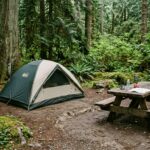 BC Parks Campgrounds Ranked: Visitor Satisfaction Survey Reveals Best and Worst Sites