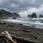 Oregon Coast Faces String of Marine, Traffic, and Crime Incidents