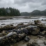 Oregon Coast Shellfish Restrictions Tighten After Toxin Spike